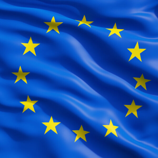 Die EU und ihre Mitgliedstaaten: Die politische und wirtschaftliche Struktur Europas